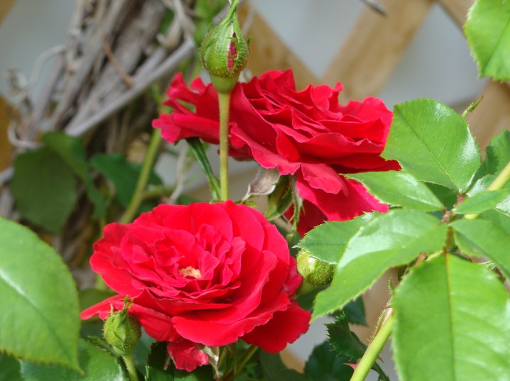 ???????????????????????????????