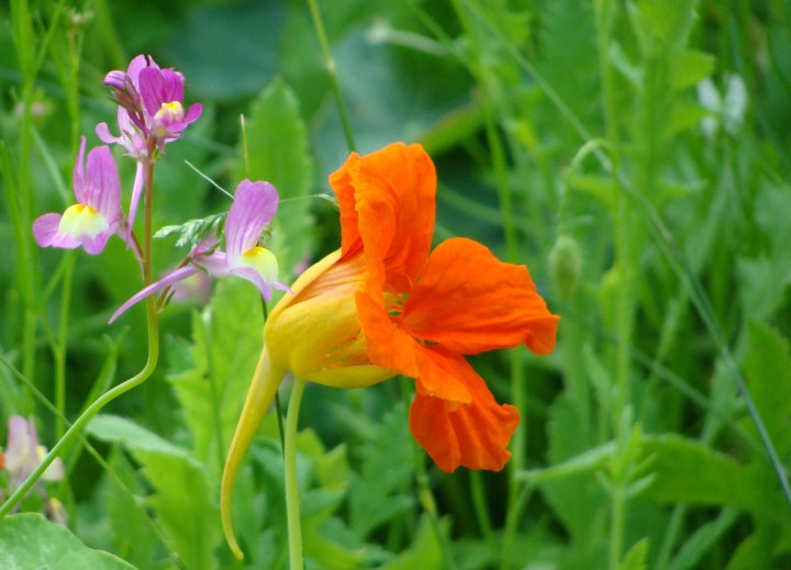 ???????????????????????????????