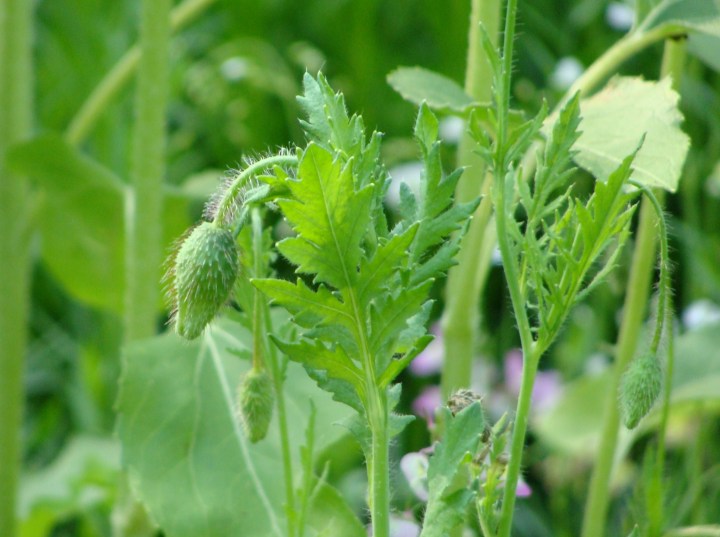 ???????????????????????????????