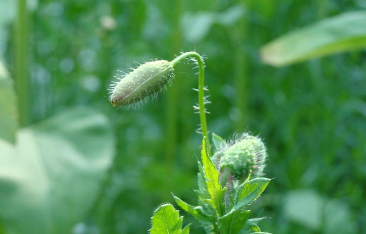 ???????????????????????????????