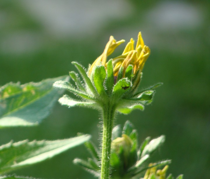 ???????????????????????????????