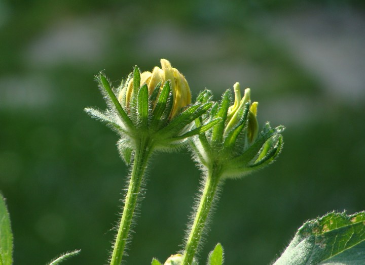 ???????????????????????????????