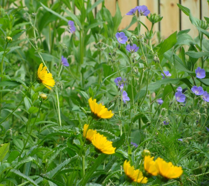 ???????????????????????????????