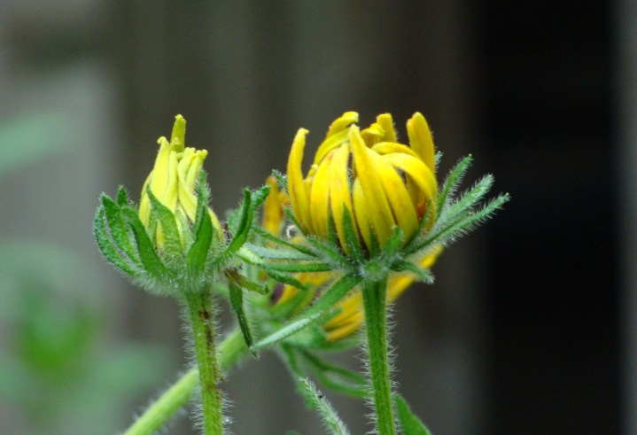 ???????????????????????????????