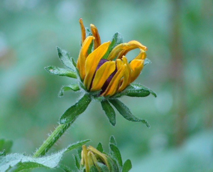 ???????????????????????????????