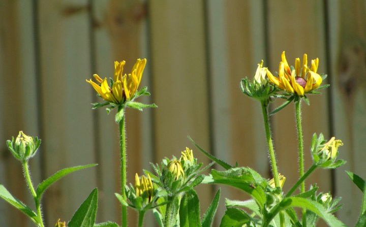 ???????????????????????????????