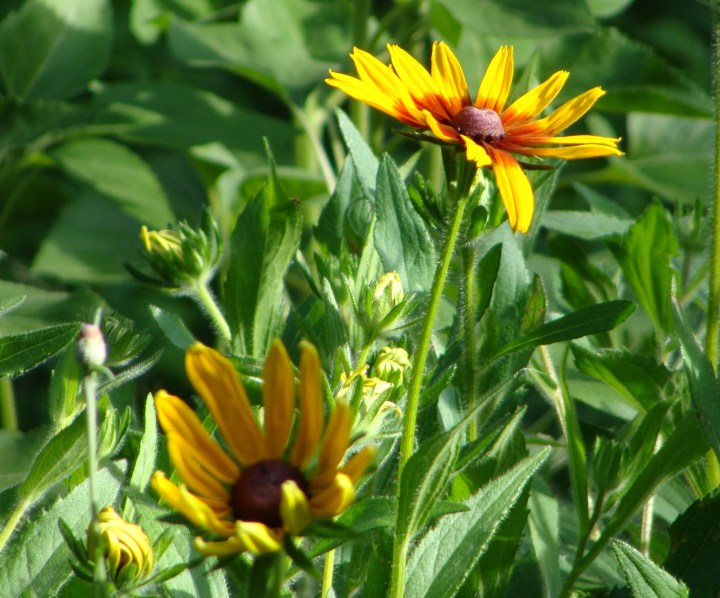 ???????????????????????????????