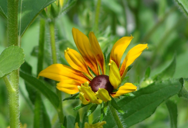 ???????????????????????????????