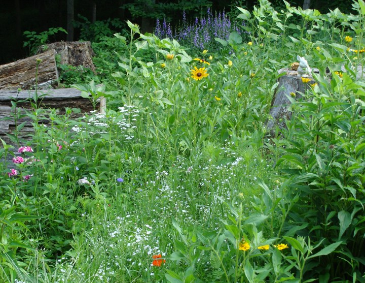 ???????????????????????????????