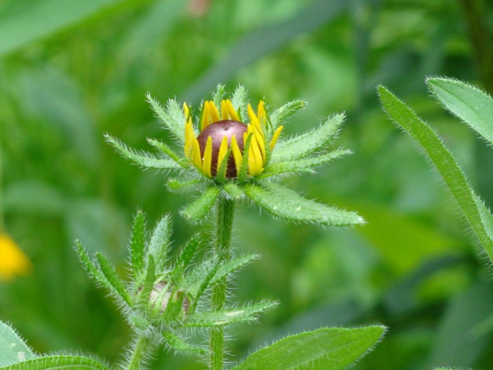 ???????????????????????????????