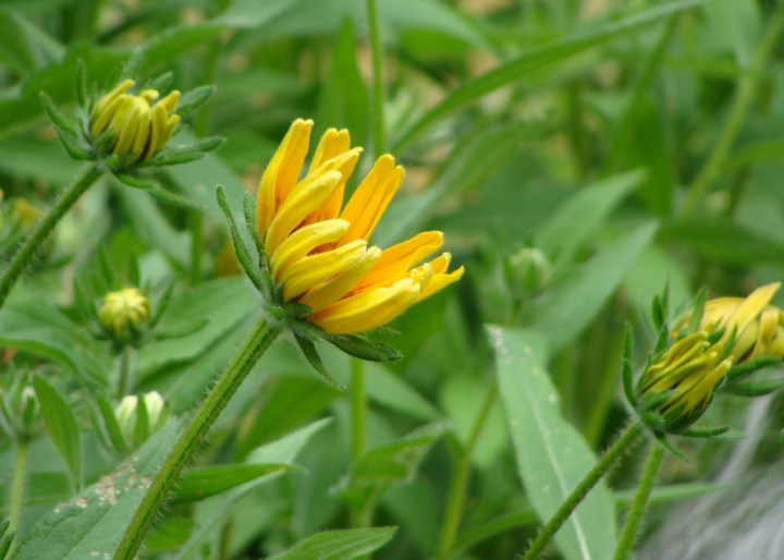 ???????????????????????????????