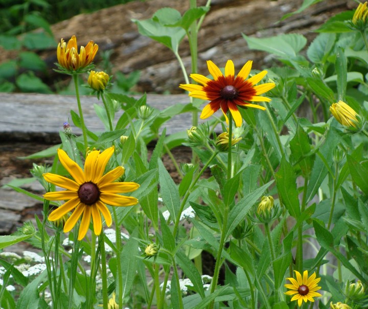 ???????????????????????????????