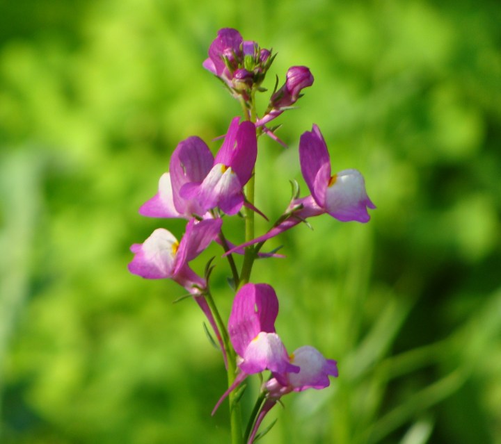 ???????????????????????????????