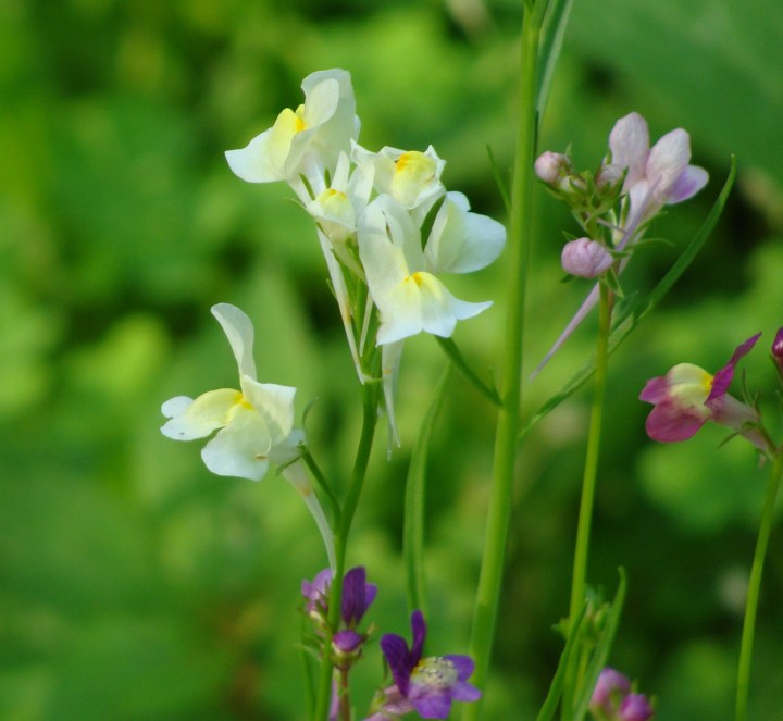 ???????????????????????????????