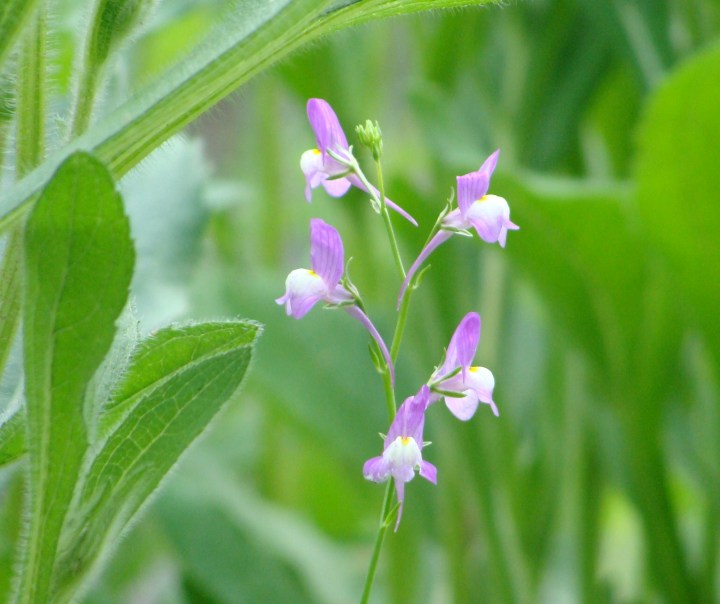 ???????????????????????????????