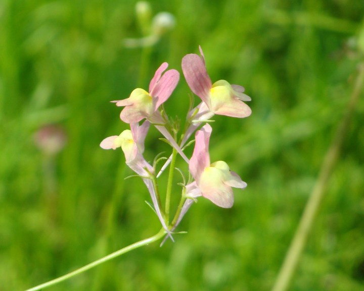 ???????????????????????????????