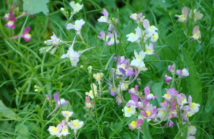 ???????????????????????????????