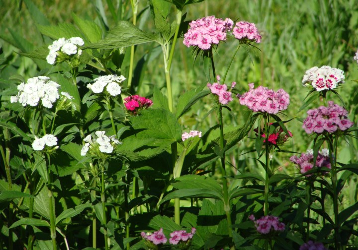 ???????????????????????????????