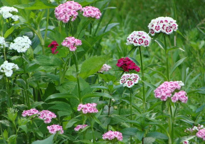 ???????????????????????????????