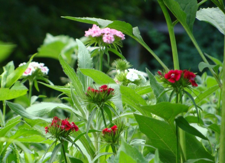 ???????????????????????????????