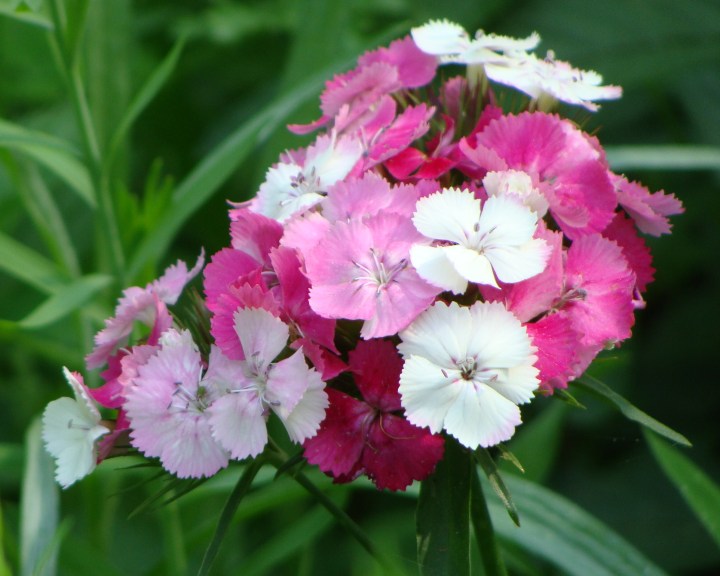 ???????????????????????????????