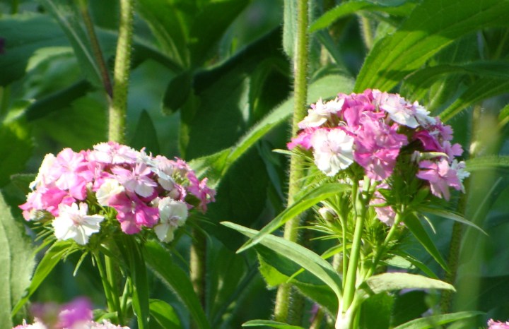 ???????????????????????????????