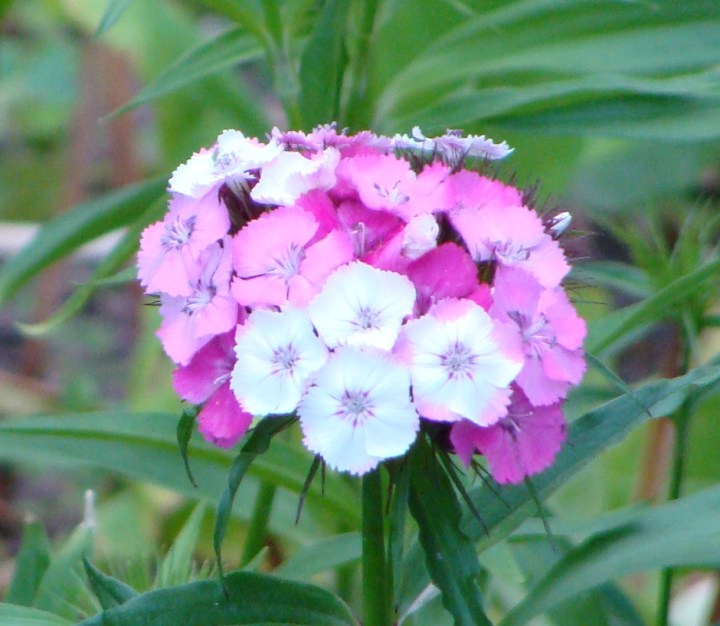 ???????????????????????????????