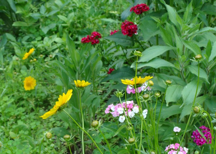 ???????????????????????????????