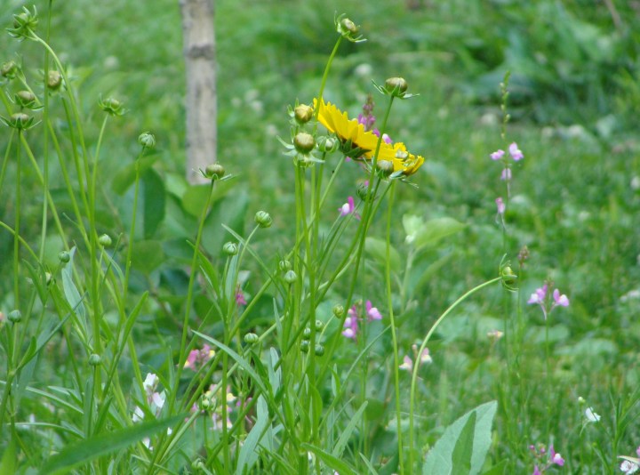 ???????????????????????????????