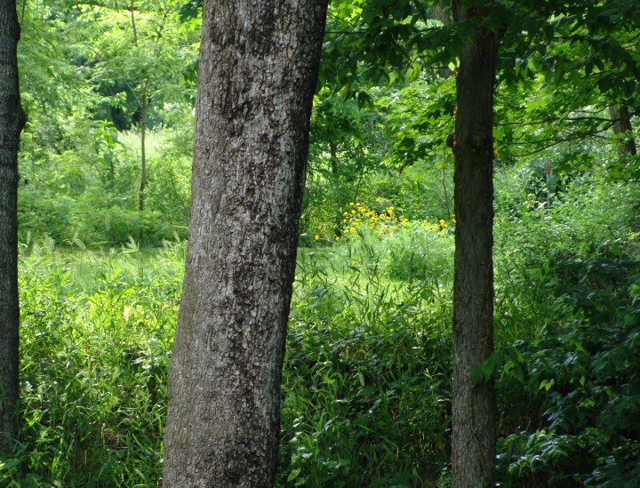 ???????????????????????????????