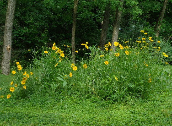 ???????????????????????????????