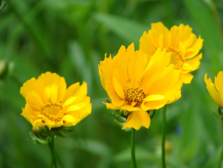 ???????????????????????????????