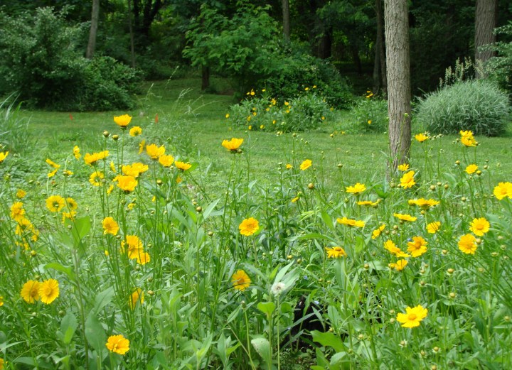 ???????????????????????????????