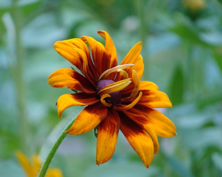 ???????????????????????????????