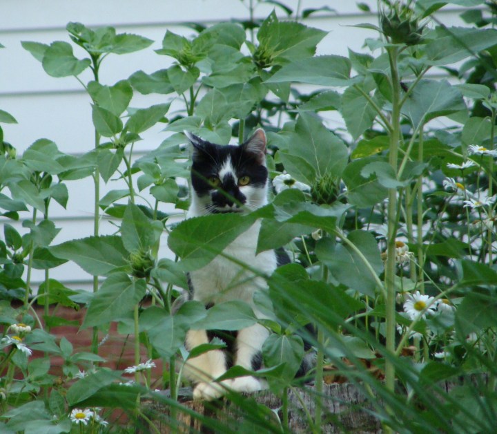 ???????????????????????????????