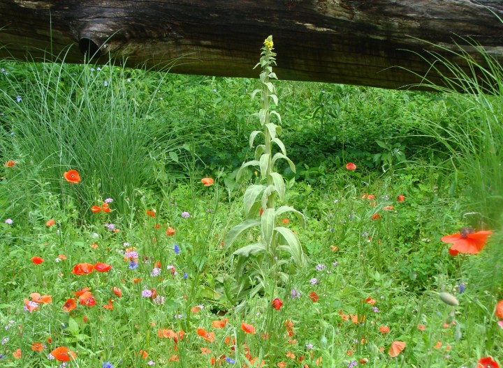 ???????????????????????????????