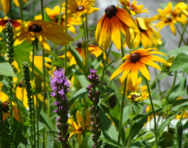 ???????????????????????????????