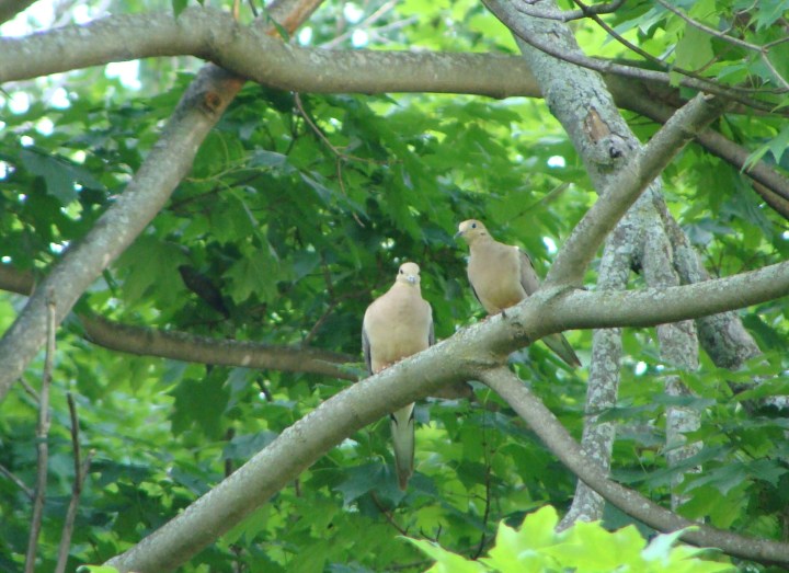 ???????????????????????????????