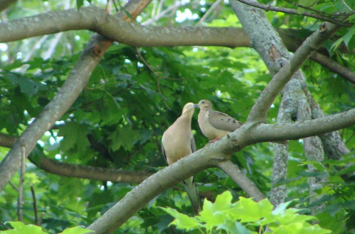 ???????????????????????????????