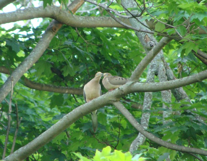 ???????????????????????????????