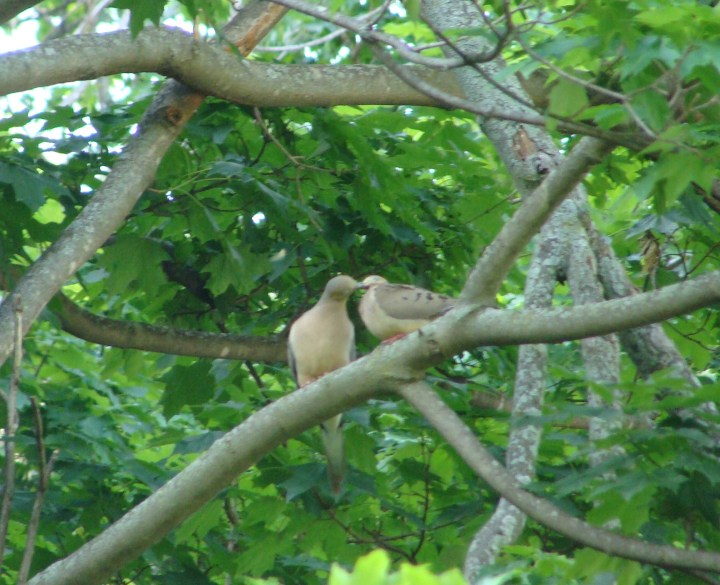 ???????????????????????????????