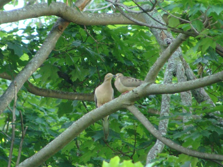 ???????????????????????????????