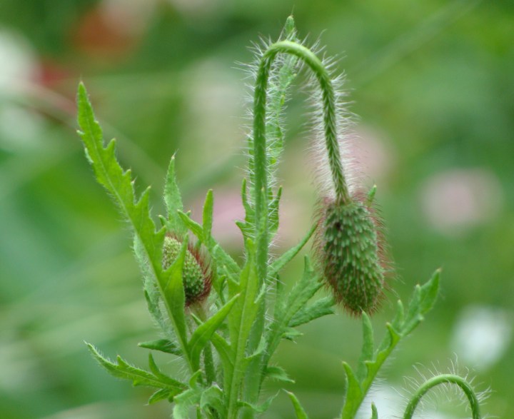 ???????????????????????????????