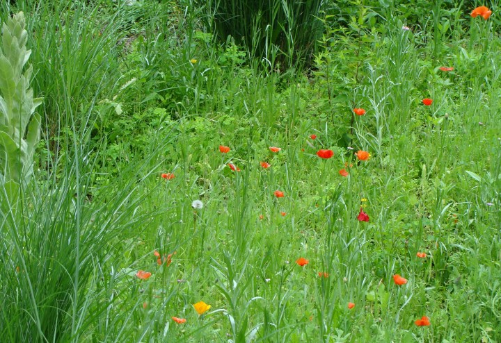 ???????????????????????????????