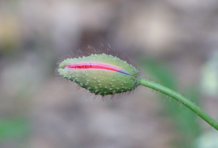 ???????????????????????????????