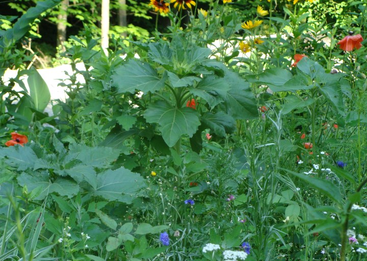 ???????????????????????????????