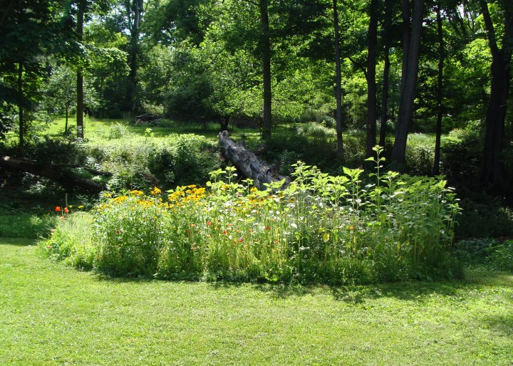 ???????????????????????????????