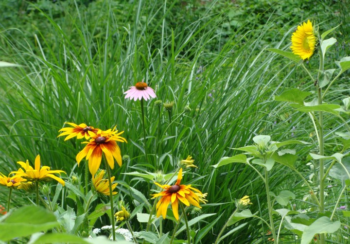 ???????????????????????????????