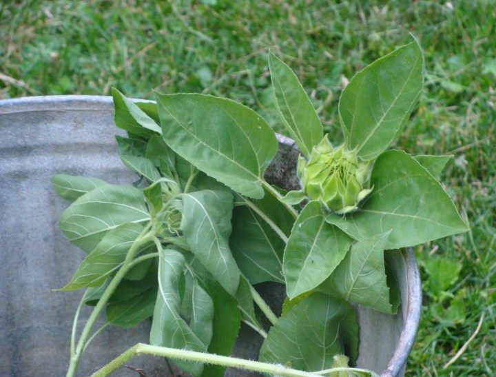 ???????????????????????????????