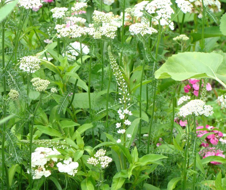 ???????????????????????????????